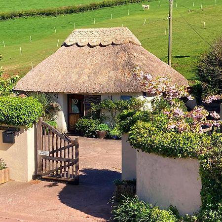 The Nest - Thatched Seaside Country Cottage For Two Stokeinteignhead Zewnętrze zdjęcie