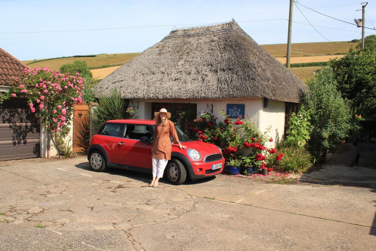 The Nest - Thatched Seaside Country Cottage For Two Stokeinteignhead Zewnętrze zdjęcie
