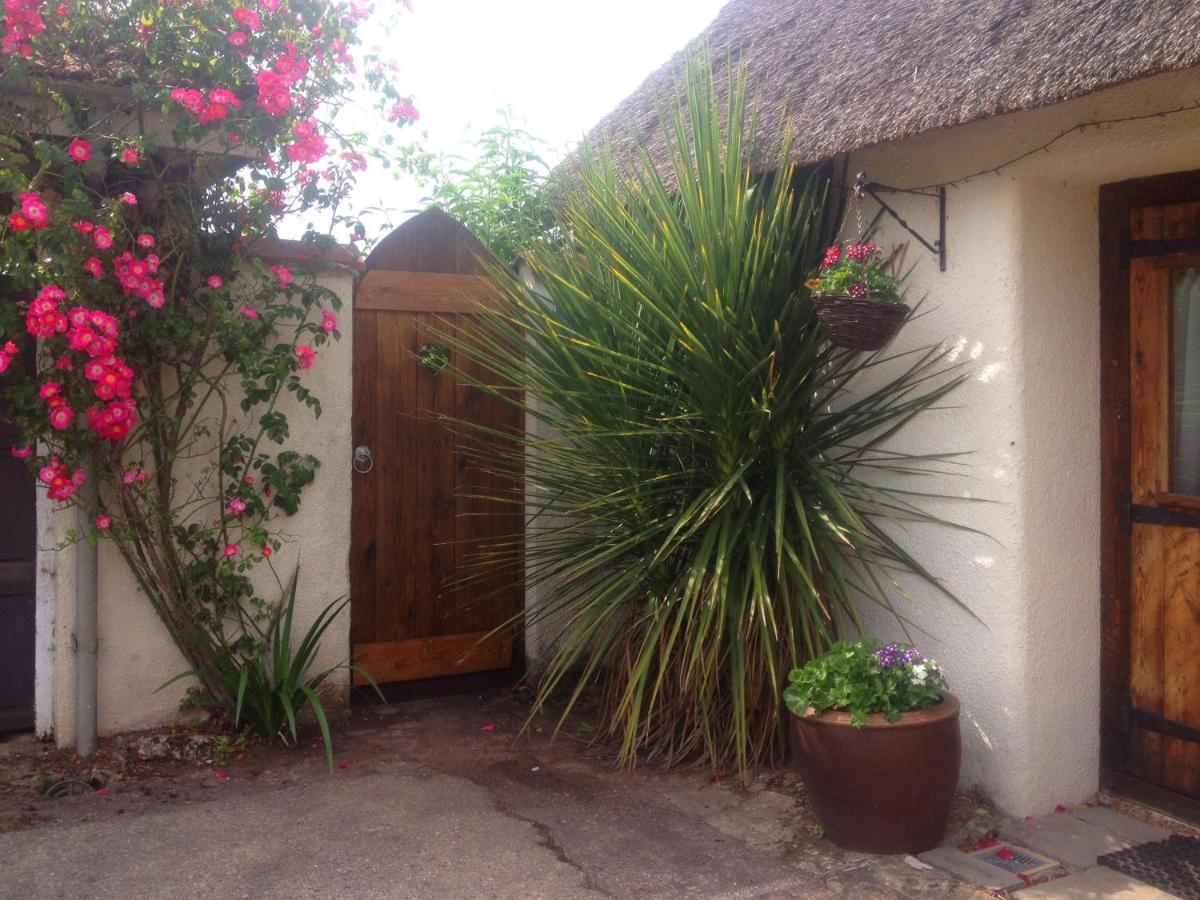 The Nest - Thatched Seaside Country Cottage For Two Stokeinteignhead Zewnętrze zdjęcie