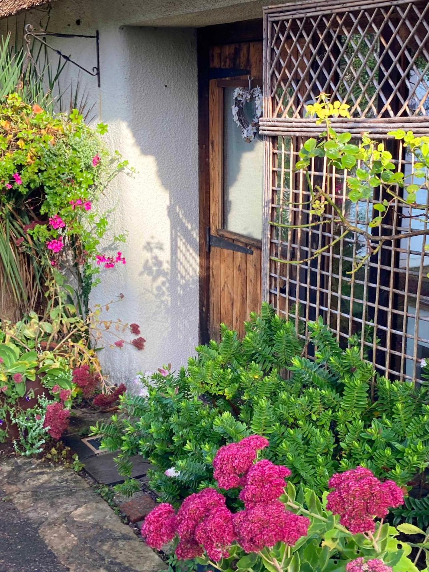 The Nest - Thatched Seaside Country Cottage For Two Stokeinteignhead Zewnętrze zdjęcie