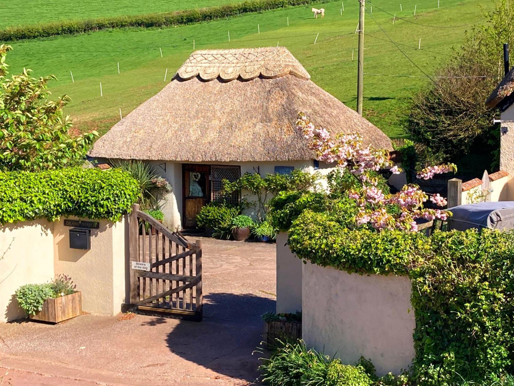The Nest - Thatched Seaside Country Cottage For Two Stokeinteignhead Zewnętrze zdjęcie